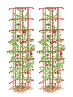 Eco Garden Shop -Eco Garden Shop 8587041 TomatoTower tif